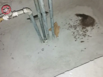 平川卫生间测漏水价格明细