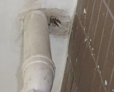 平川漏水检测哪家好